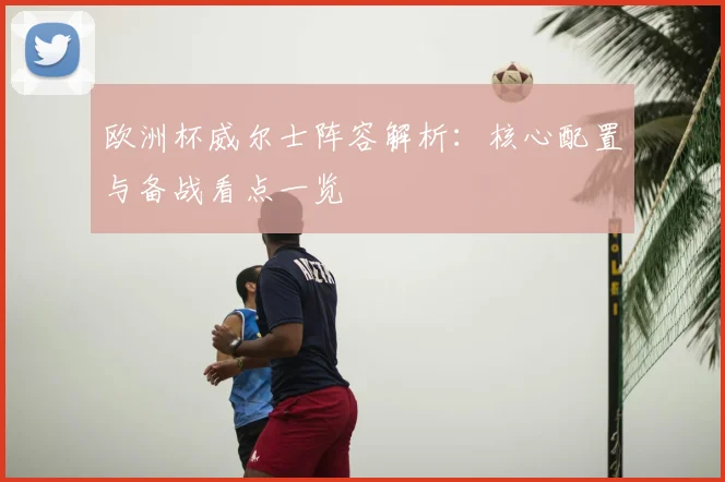 欧洲杯威尔士阵容解析：核心配置与备战看点一览